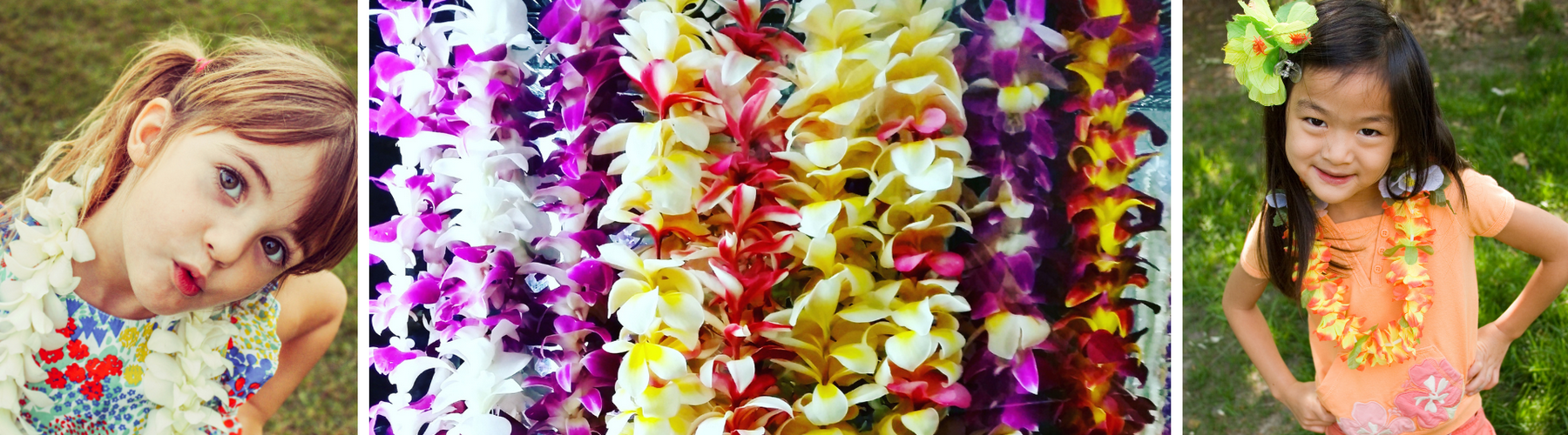 Row of Colorful Leis