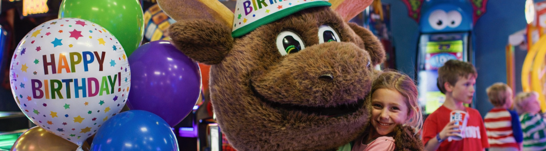 Bruce the Moose in a birthday hat
